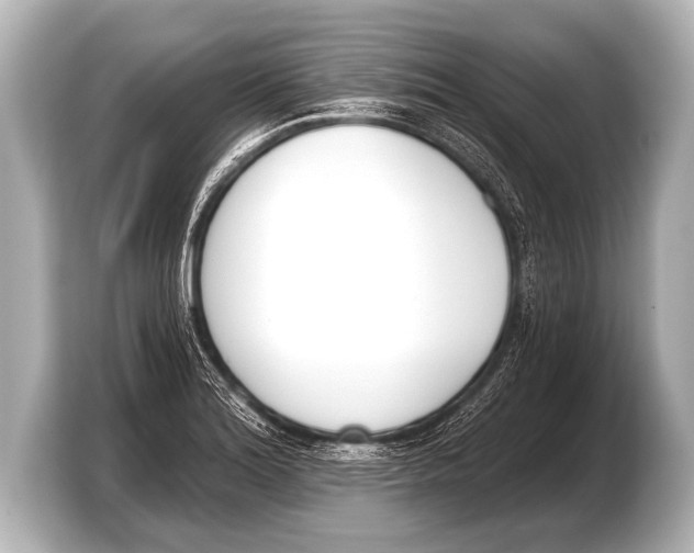 X0000103421180200810031325