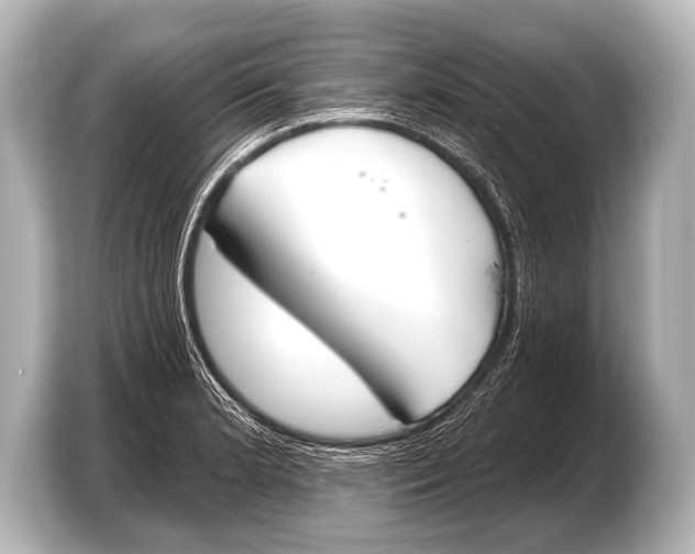 X0000103421181200810031325