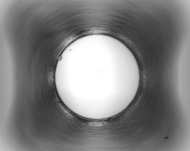 X0000103421185200810031325
