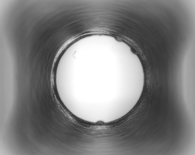 X0000103421188200810031324