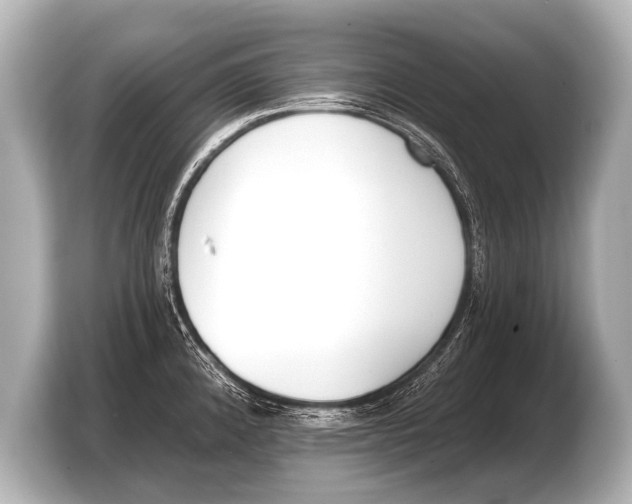 X0000103421192200810031324