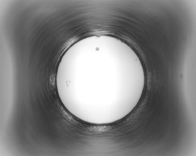 X0000103421193200810031324