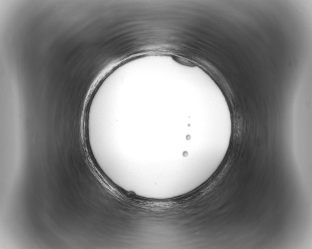X0000103421196200810031324