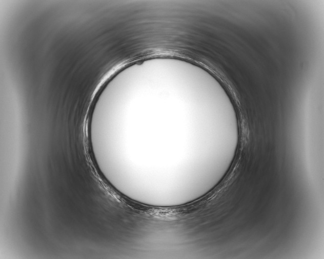 X0000103421198200810031324