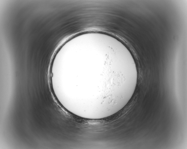 X0000103421199200810031324