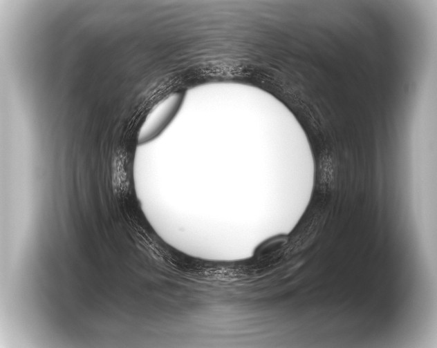 X0000103421202200810031324