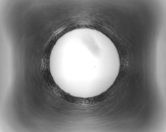 X0000103421207200810031324