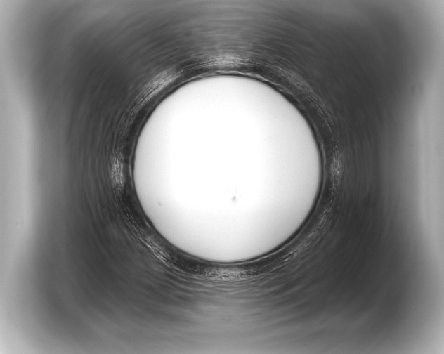 X0000103421209200810031324
