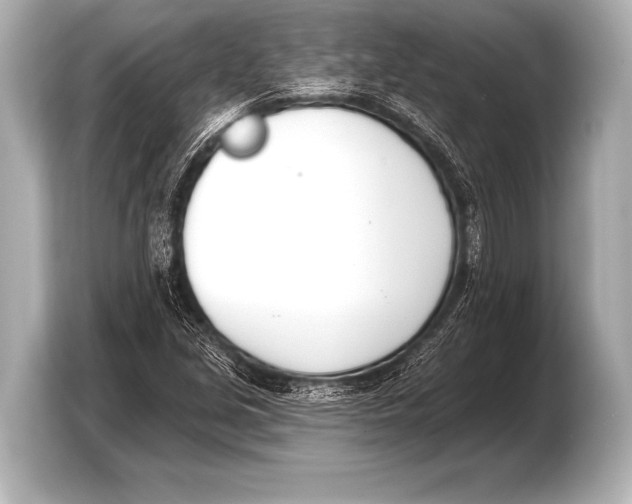 X0000103421213200810031324