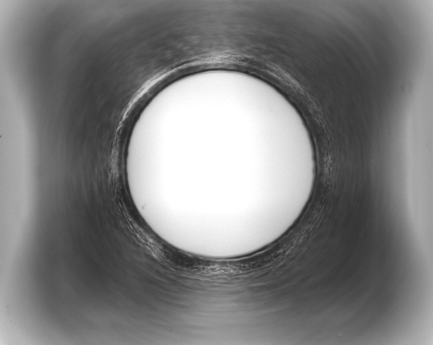 X0000103421216200810031324