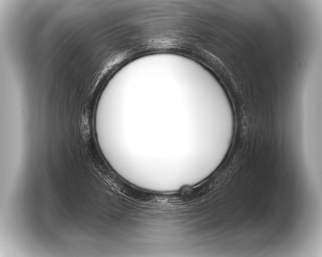 X0000103421218200810031324