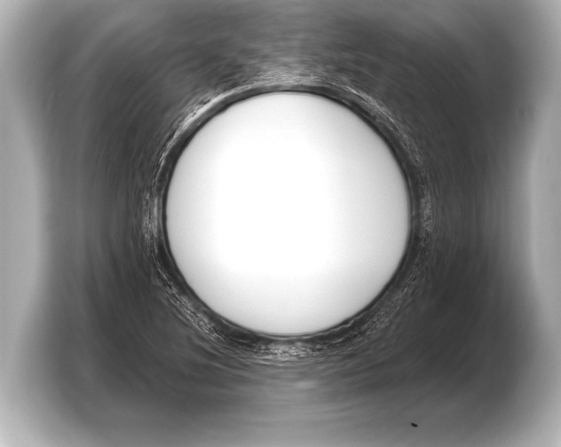 X0000103421220200810031324