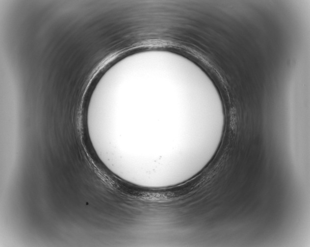 X0000103421229200810031324