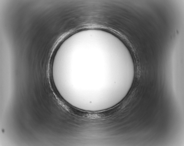X0000103421231200810031324