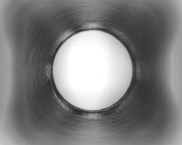 X0000103421233200810031324