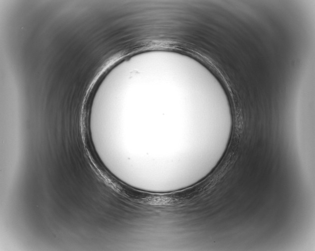 X0000103421235200810031324