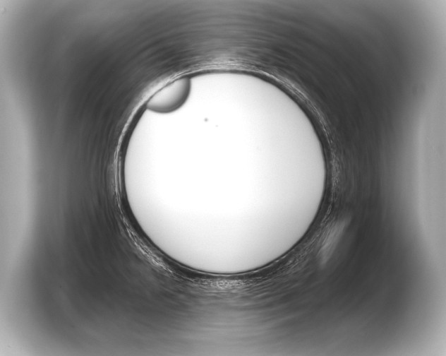 X0000103421238200810031324
