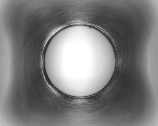 X0000103421239200810031324