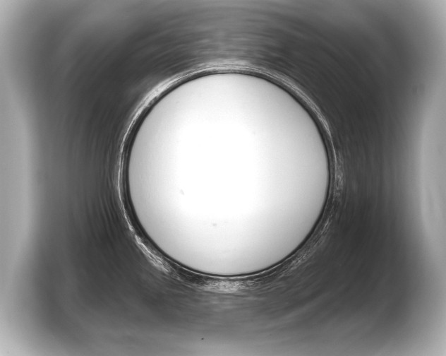 X0000103421245200810031324