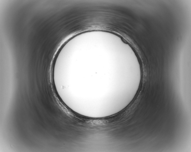 X0000103421246200810031324