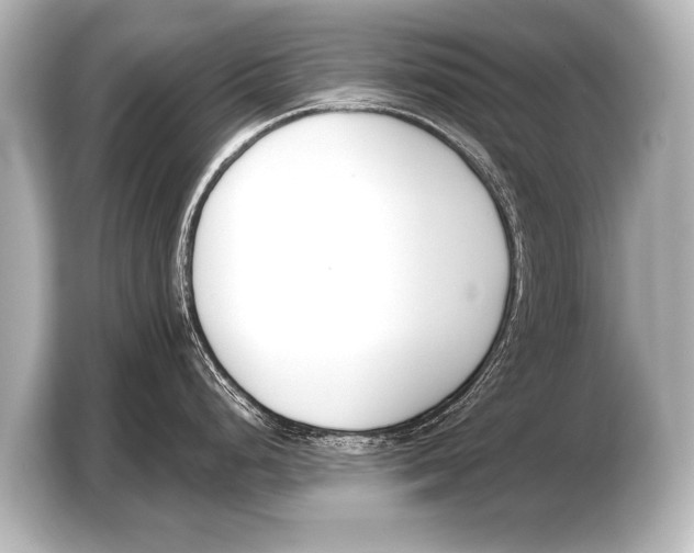 X0000103421248200810031324