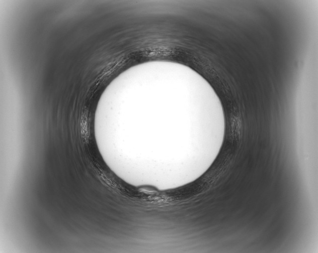 X0000103421250200810031324