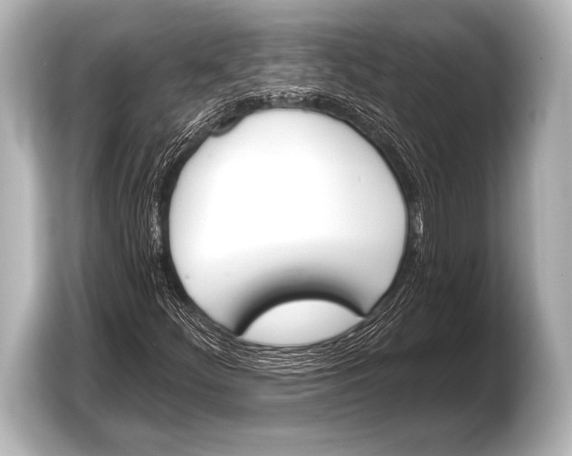 X0000103421252200810031324