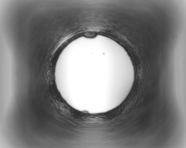 X0000103421256200810031324