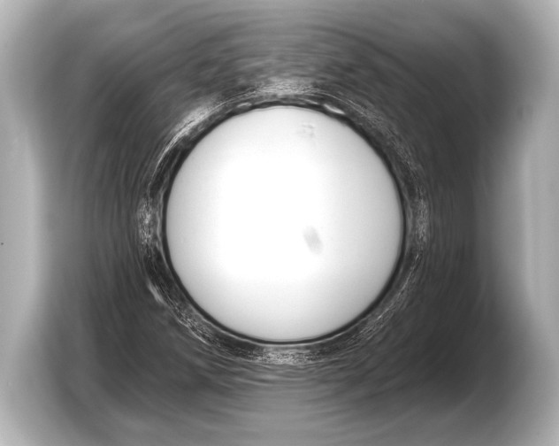 X0000103421258200810031324