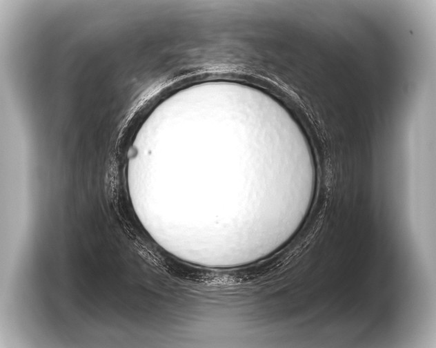X0000103421263200810031323