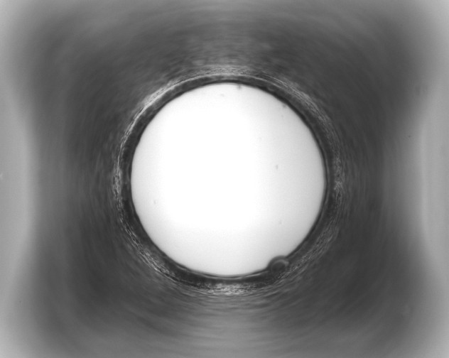 X0000103421264200810031323
