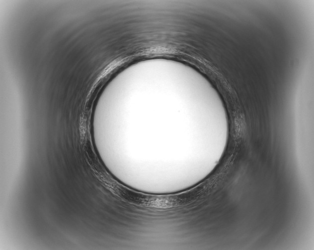X0000103421266200810031323