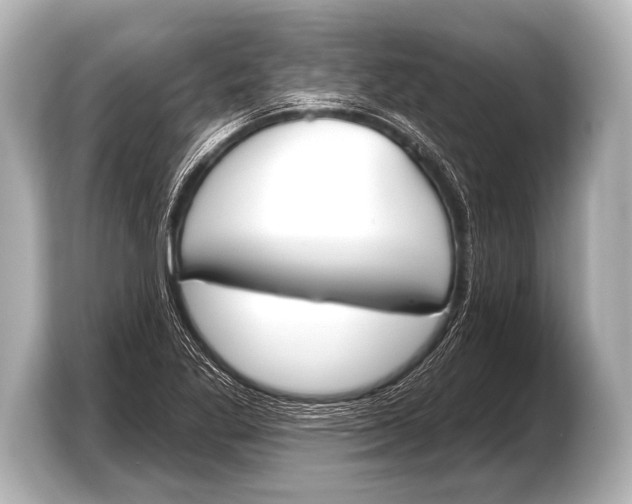 X0000103421269200810031323