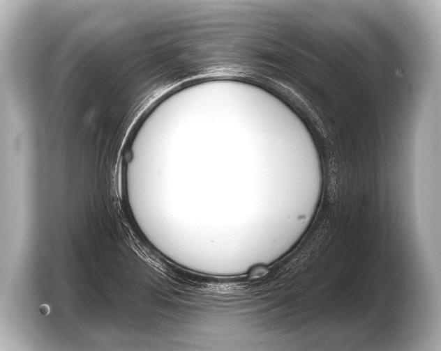 X0000103421276200810031323