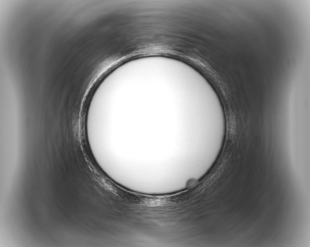 X0000103421278200810031323