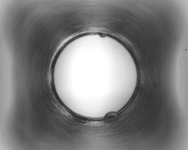 X0000103421280200810031323