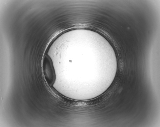 X0000103421283200810031323
