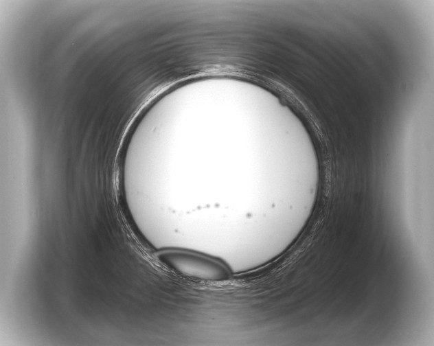 X0000103421284200810031323