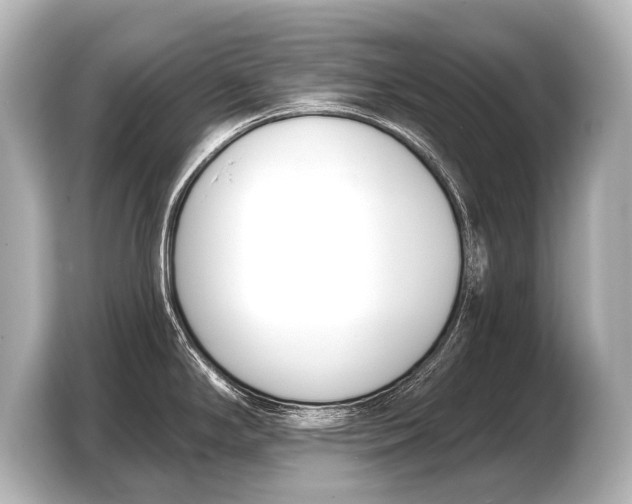X0000103421294200810031323