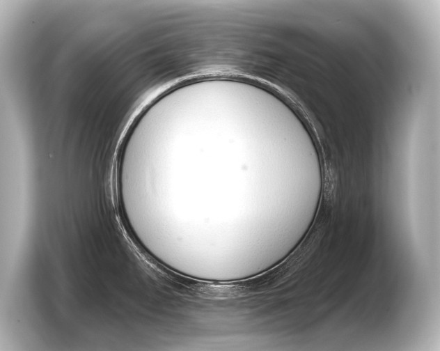 X0000103421295200810031323