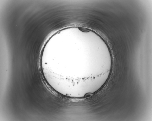 X0000103421296200810031323