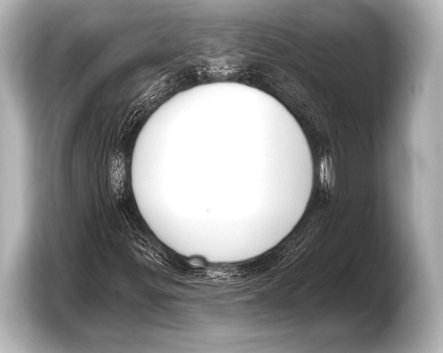 X0000103421299200810031322