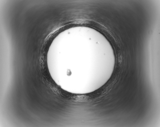 X0000103421304200810031322