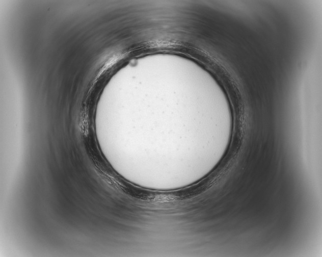 X0000103421306200810031323