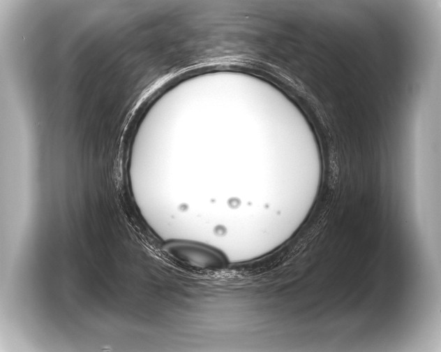 X0000103421316200810031323
