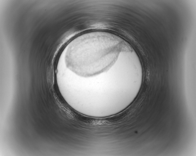 X0000103421323200810031323