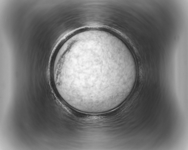 X0000103421327200810031323
