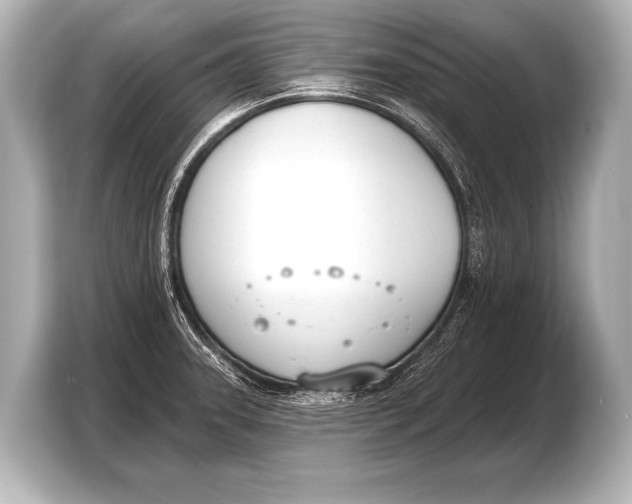 X0000103421331200810031323