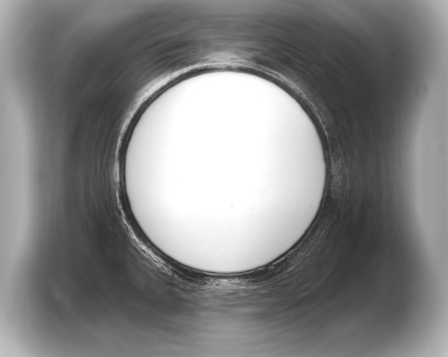 X0000103421335200810031323