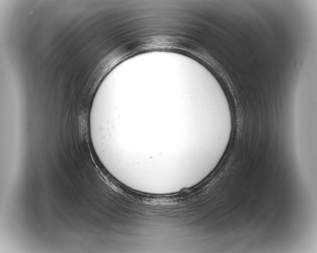 X0000103421337200810031323